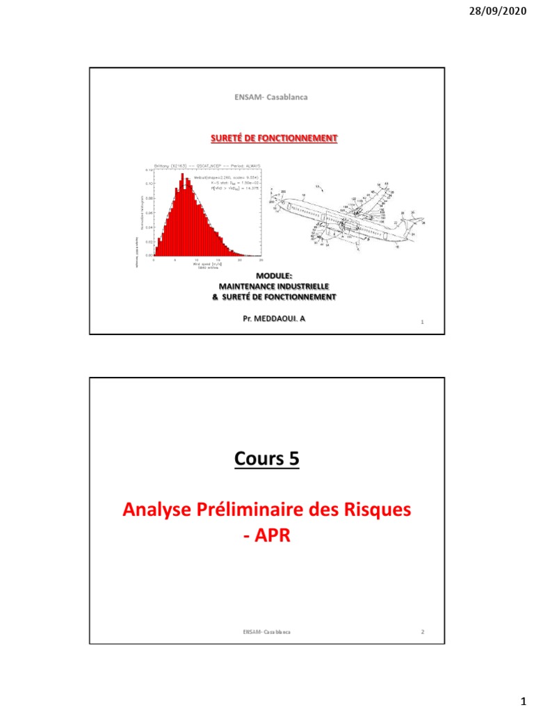 Analyse Préliminaire des Risques (APR) | PDF | Risque | Application