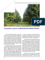 Ancaman Durian PDF