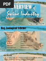 Swine Terminology and Definitions | PDF | Pig | Livestock