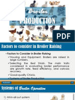 Broiler Production