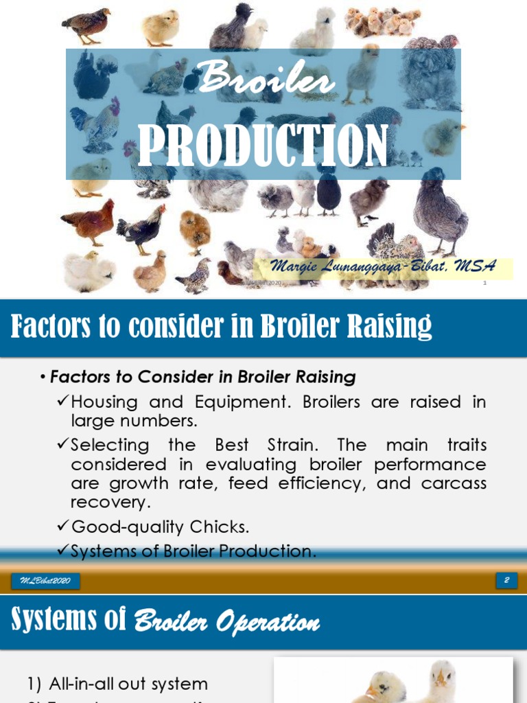 Broiler Production PDF
