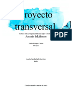 Proyecto Transversal
