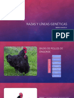 Olmedo Andrea - Razas y Línea Genéticas PDF