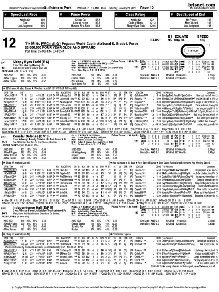 2021 Pegasus World Cup PPs PDF Animal Racing Thoroughbred Horses