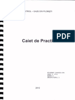 Model Caiet Practica PDF