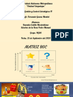 Matriz BCG PDF