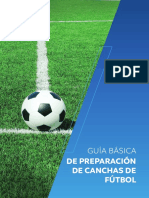Guia Basica Preparacion Canchas Conmebol 2019 Esp (2)