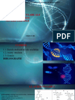 Bazele Moleculare Ale Ereditatii - Acizii Nucleici - Genele
