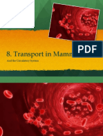 Transport in Mammal: and The Circulatory System