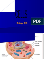 Cells Powerpoint Presentation 1223919167512493 9