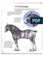 How to draw horses pg 23-convertido