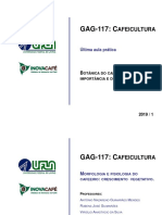 _SlidesSemana2_P_2019-1_MorfologiaFisiologiaDoCrescimentoVegetativo