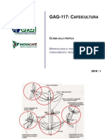 _SlidesSemana3_P_2019-1_MorfologiaFisiologiaDesenvolvimentoReprodutivo