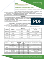 3 Aplicacao de Calda Bordalesa Em Hortalicas 1