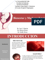 Bienestar y Madurez Fetal