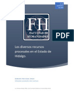 Los Diversos Recursos Procesales en El Estado de Hidalgo