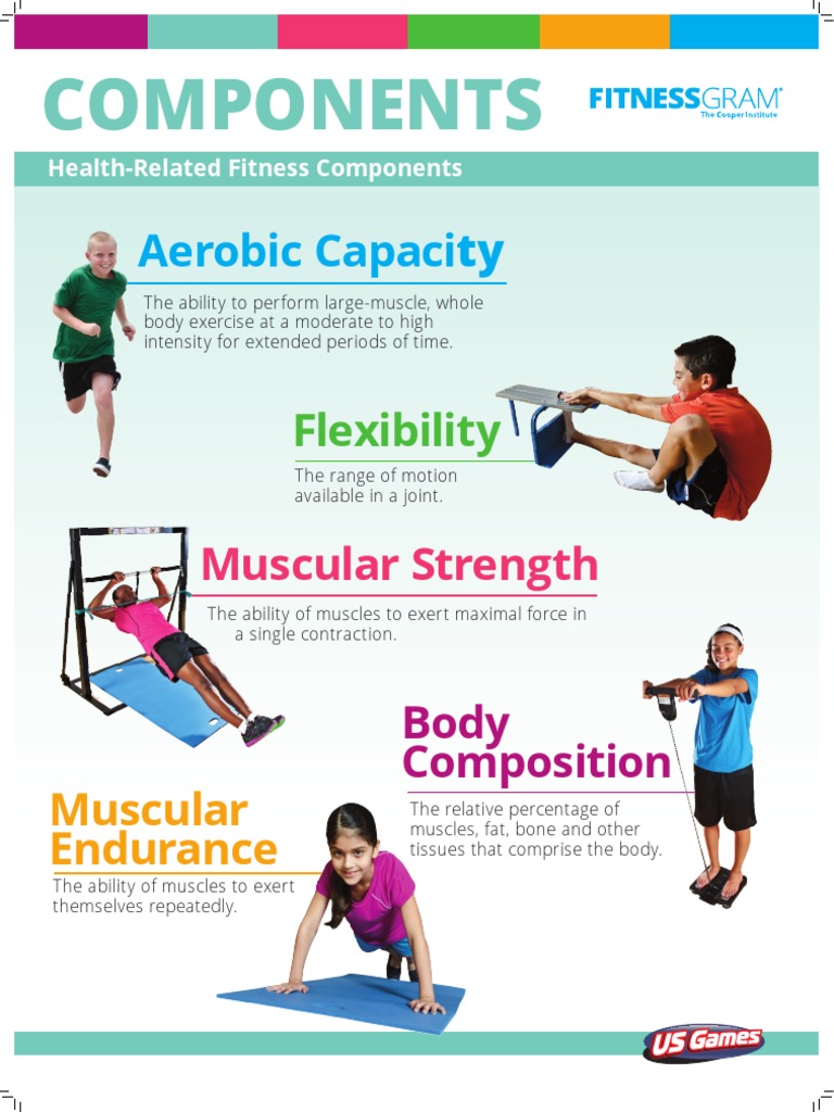 Aerobic Capacity: Health-Related Fitness Components | PDF
