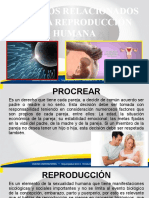 Procesos Relacionados Con La Reproducción Humana.