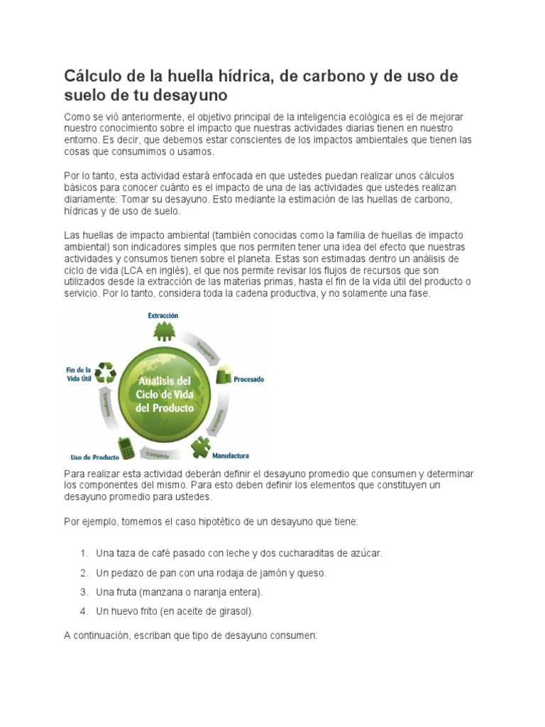 Cálculo de Huellas | PDF | Gases de efecto invernadero | Huella de carbono