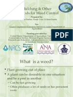 Mulching and Other Methods of Weed Control