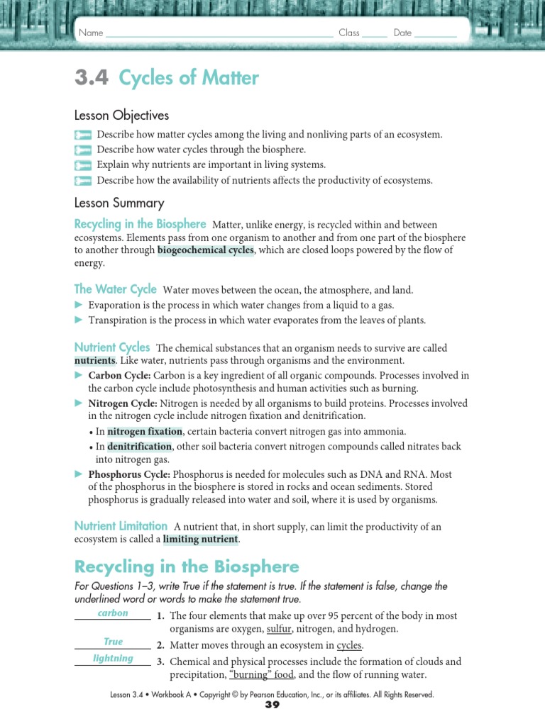 Cycles of Matter Project Worksheet: Water, Nitrogen \u0026 Phosphorus Cycles -  Studocu, image size:768x1024