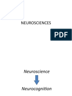 Bab4 Neuroscience