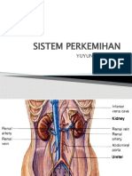 Sistem Perkemihan