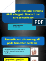 USG Trimester Pertama