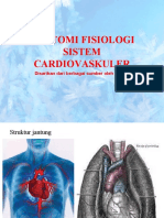 Anatomi Fisiologi Sistem Cardiovaskuler