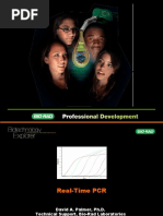 Real-Time PCR