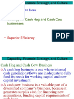 In This Lecture, We Focus: - Strategy For Cash Hog and Cash Cow Businesses