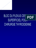 Bloc Plexus Cervical