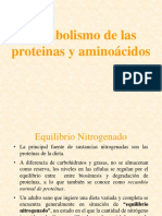 Metabolismo de Proteinas