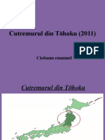 347733094-Cutremurul-Din-Tōhoku-2011