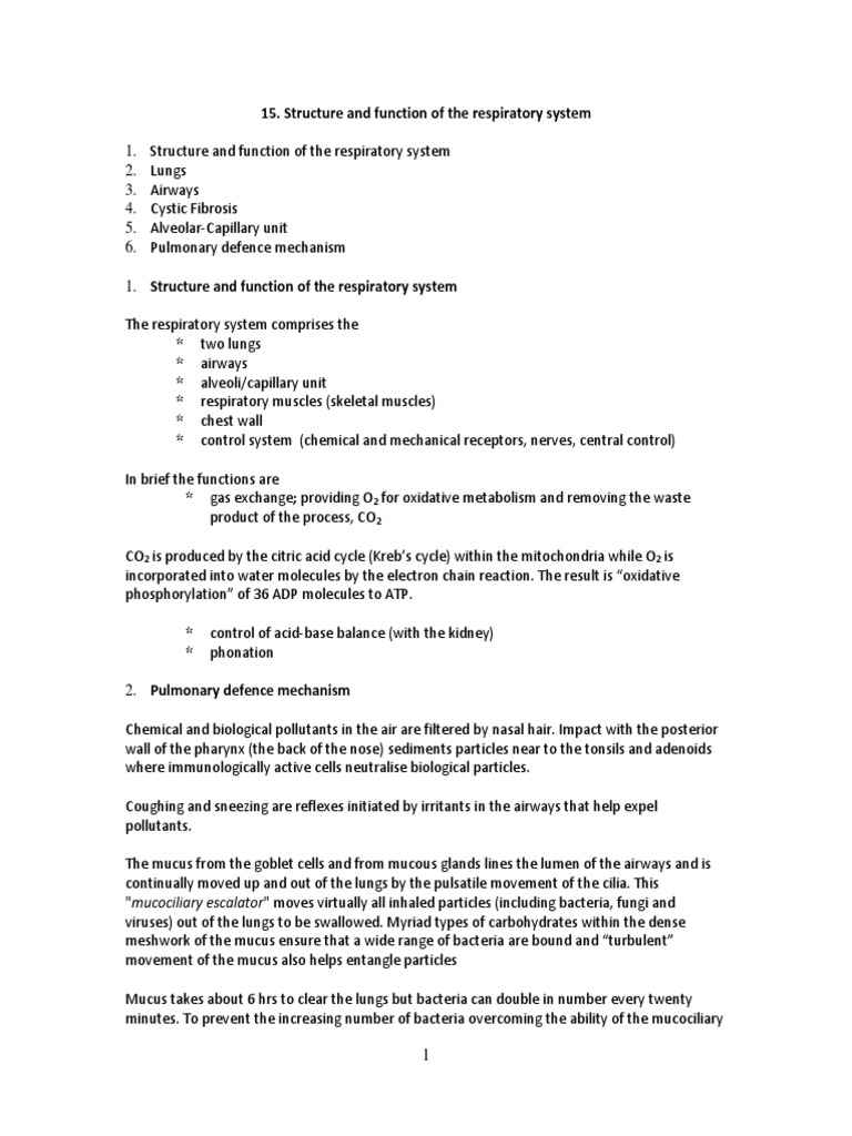 Respiratory System Structure and Function | PDF | Respiratory Tract | Lung