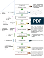 Elaboracion de Cerveza Artesanal