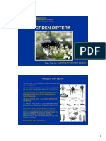 Orden Diptera 2006