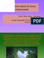 Dor de Eminescu Nivel I Critică Literară Ipostazele Naturii În Lirica Eminesciană Maier Ioana Alexandra