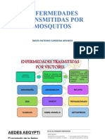 Enfermedades de Mosquitos