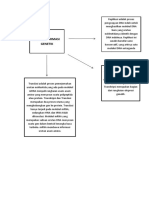 Alur Informasi Genetik Anisah Rahmah