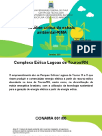 Análise crítica do estudo ambiental-RIMA do Complexo Eólico Lagoas de Touros/RN