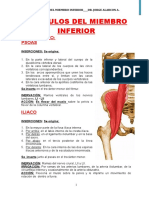 Músculos de La Pelvis