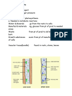 Transport in Plants Uses of Water