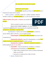 Los Testículos Son Órganos Ovoides Responsables de La Producción de Esperma