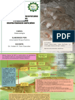 Mapa de Efecto Tóxico de DDT y Endosulfan en Postlarvas de Camarón Blanco, Litopenaeusvannamei (Decapoda:Penaeidae) de Chiapas, México