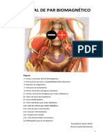 Manual de PAR BIOMAGNÉTICO