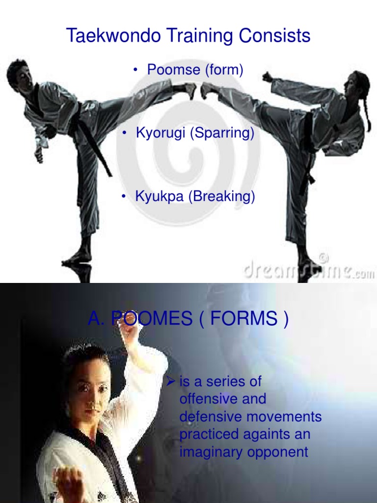 Taekwondo Sparring/Kyrugi Figurine 1 