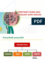 Penyakit Ikan Lele Masalah Dan Solusi