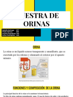 Requesitos para Exámen de Orina