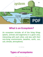 Ecosystems 190902121239